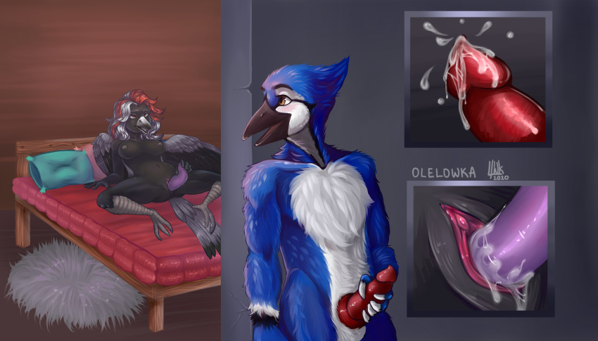 absurd_res anthro artamid australian_magpie avian balls beak bed bird black_body black_feathers blue_jay bodily_fluids breasts corvid cracticinae cum cynthia_(ripper253) dipstick_beak duo feathers feet female furniture genital_fluids genitals hi_res incest jay_(bird) male masturbation new_world_jay nipples nude olelowkaa oscine passerine penetration penis pussy smile straight vaginal_masturbation vaginal_penetration voyeur