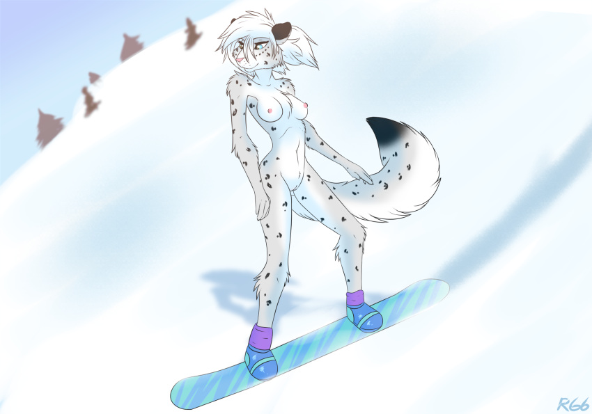 anthro blue_eyes breasts chest_tuft felid female fur genitals grey_body grey_fur hair hi_res mammal nipples nude pantherine pink_nipples pink_nose pussy ruth66 snow snow_leopard snowboarding solo spots tuft white_body white_fur white_hair winter