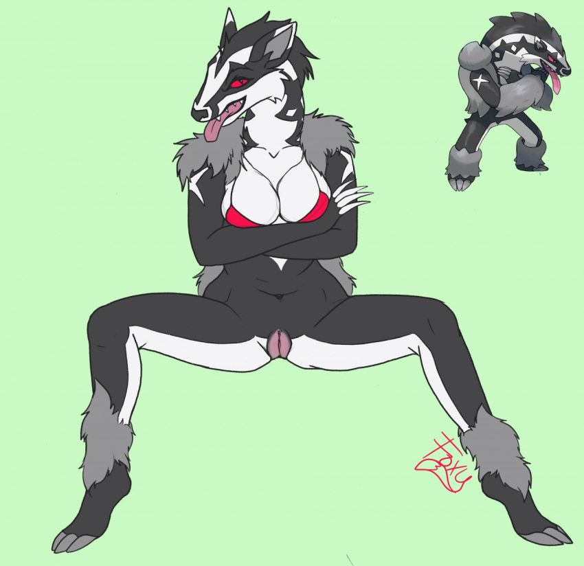 2019 animal_genitalia animal_pussy anthro bikini bikini_top black_body bottomless breasts cleavage clothed clothing female foxymcloxy front_view full-length_portrait fur genitals green_background grey_body grey_fur hi_res mammal mustelid nintendo obstagoon pokémon_(species) pokemon portrait presenting presenting_pussy pussy red_eyes simple_background sitting solo spread_legs spreading swimwear tongue tongue_out video_games