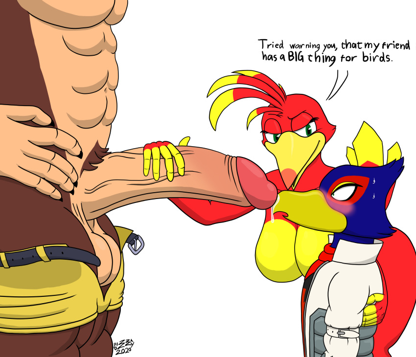 1girls 2boys anthro avian balls banjo-kazooie banjo_(banjo-kazooie) beak big_balls big_penis bird blush bodily_fluids breasts breegull english_text falco_lombardi female gay genital_fluids genitals group hi_res kazooie male male/male mammal muscular muscular_male nintendo penis pizzaozzy_(artist) precum pubes rareware simple_background size_difference star_fox text ursid video_games white_background