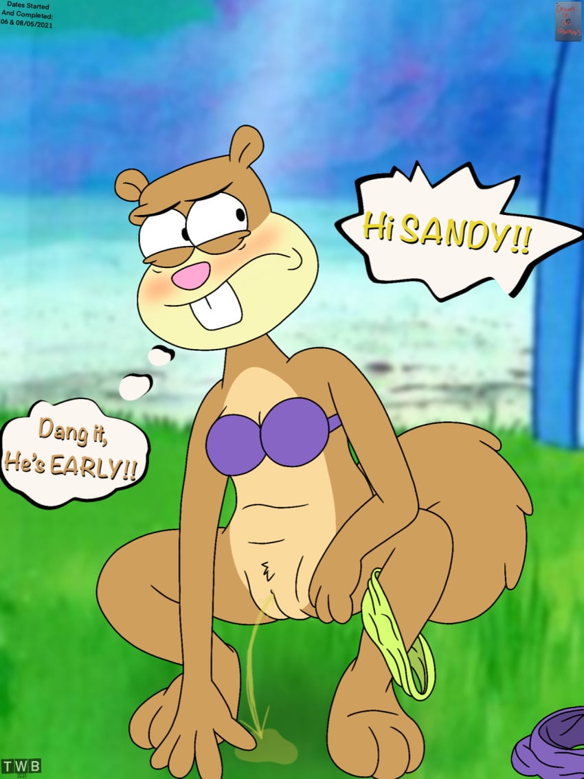 Sandy Cheeks (Nickelodeon) Rule 34 Image