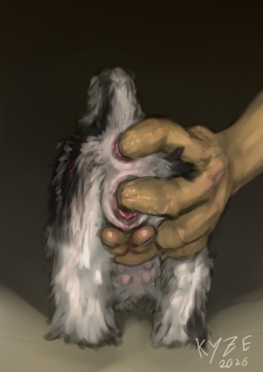 Anal Rule 34 Image