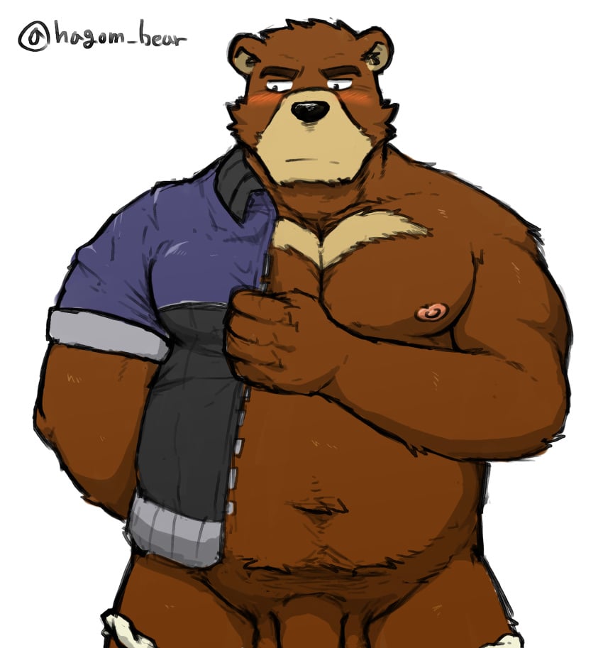 2020 anthro balls blush brown_body brown_fur clothing flaccid fur genitals hagom hi_res humanoid_hands juuichi_mikazuki kemono male male_only mammal morenatsu overweight overweight_anthro overweight_male penis penis_base simple_background solo undressing ursid video_games visual_novel white_background