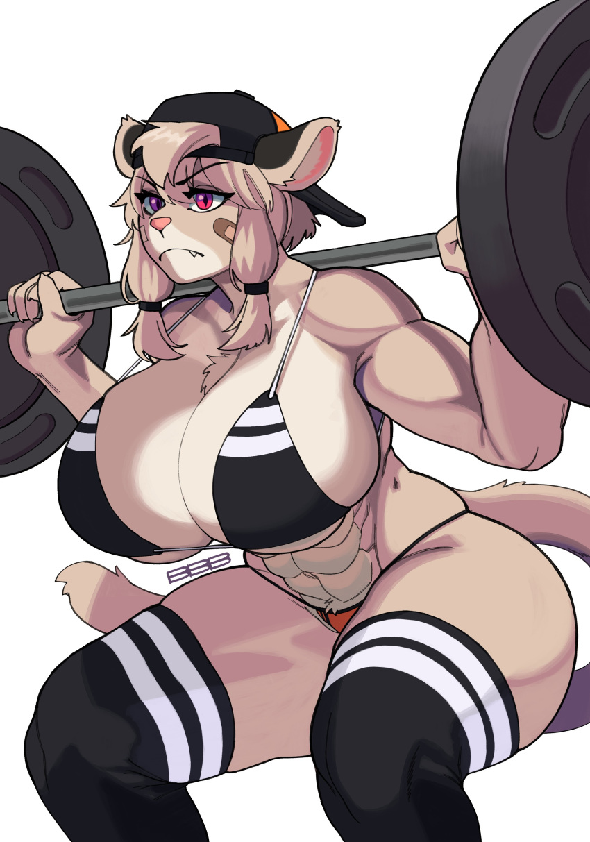 1girls abs anthro backwards_hat bandage big_breasts bunybunyboi commission cute_fang determination frankie_(extremedash) huge_breasts long_hair muscles muscular_female panties pink_eyes spaghetti_strap striped_bra striped_thighhighs weightlifting