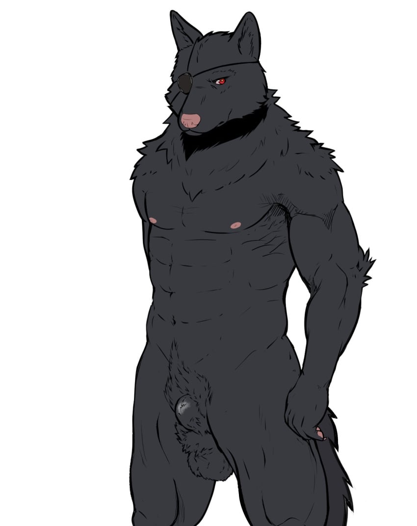 alon_e_wolf_(shelter) anatomically_correct anatomically_correct_genitalia animal_genitalia anthro athletic athletic_anthro balls black_body black_fur canid canine canis eye_patch eyewear fully_sheathed fur genitals hi_res male mammal nipples nude pink_nipples pink_nose pubic_trail raus red_eyes sheath simple_background solo tasteful_nudity white_background wolf