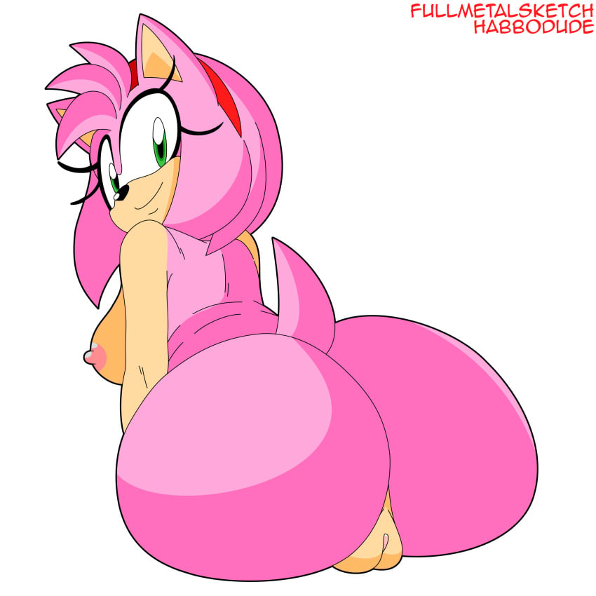 Amy Rose (Sega) Rule 34 Image