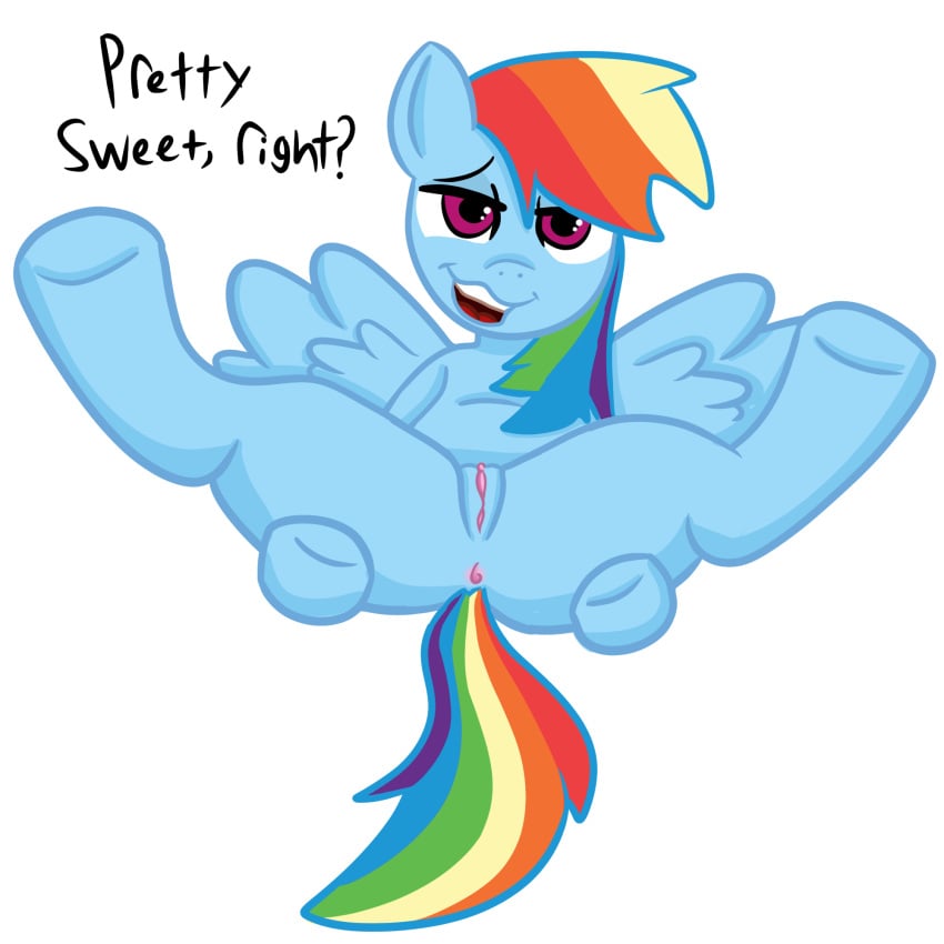 1:1 anus equid equine female feral friendship_is_magic genitals hair hasbro hi_res mammal multicolored_hair my_little_pony pegasus presenting pussy rainbow_dash_(mlp) rainbow_hair smug solo white_background wings yukacutiekoala