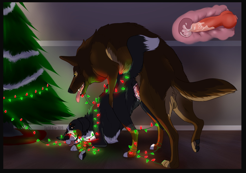 2019 animal_genitalia animal_penis animal_pussy bernese_mountain_dog black_border bodily_fluids bondage border bound canid canine canine_penis canine_pussy canis cervical_penetration christmas christmas_lights cum cum_in_pussy cum_in_uterus cum_inside domestic_dog duo female female_penetrated feral feral_on_feral feral_penetrated feral_penetrating feral_penetrating_feral genital_fluids genital_piercing genitals german_shepherd herding_dog hi_res holidays internal jackkdraw male male_penetrating male_penetrating_female mammal molosser mountain_dog pastoral_dog penetration penis piercing pussy pussy_piercing sam_(tiquana) sex straight swiss_mountain_dog tongue tongue_out uterus vaginal_penetration