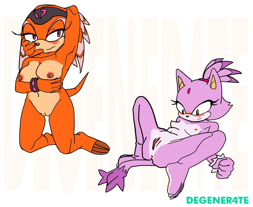 anthro anus arm_over_head big_breasts blaze_the_cat blush breasts colored degener4te digital_media_(artwork) domestic_cat duo echidna embarrassed embarrassed_nude_exposure felid feline felis female furry genitals hi_res mammal monotreme nude pussy shade_the_echidna signature slim small_breasts sonic_(series) sonic_chronicles:_the_dark_brotherhood sonic_the_hedgehog_(series) spread_legs spreading