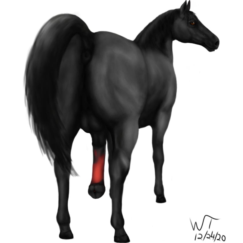 1:1 absurd_res anatomically_correct anatomically_correct_anus anatomically_correct_genitalia anatomically_correct_penis animal_genitalia animal_penis anus ass backsack balls black_balls black_body dessert doughnut equid equine equine_penis feral food genitals hi_res hooves horse looking_at_viewer looking_back male mammal mane muscular muscular_feral muscular_male muscular_thighs orange_eyes penis pink_penis presenting presenting_anus presenting_balls presenting_hindquarters presenting_penis proboscis_(anatomy) raised_tail realistic solo trunk_(anatomy) wildtail_(artist)