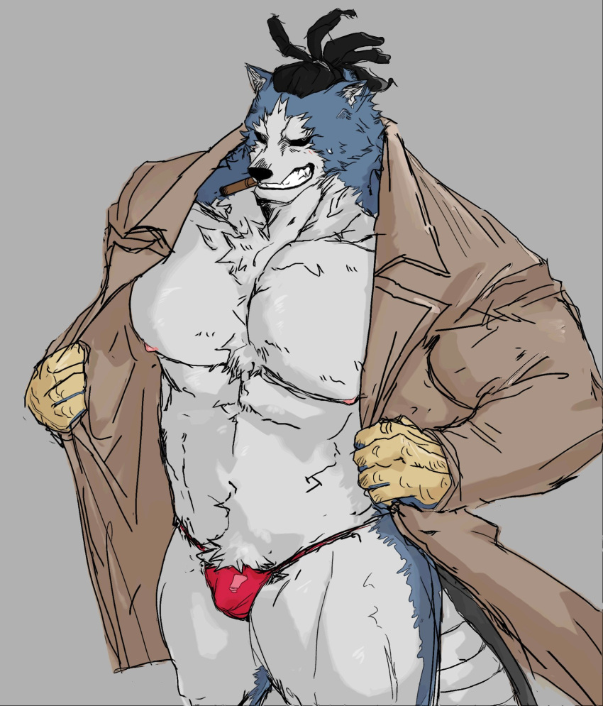 2020 anthro barazoku big_muscles blue_body blue_fur body_hair bulge canid canine canis chest_tuft chojuro_kon cigar clothed clothing fur furry grey_background hair happy_trail hi_res kon_choujuurou male male_only mammal multicolored_body multicolored_fur muscular muscular_anthro muscular_male my_hero_academia nipples open_clothing open_robe open_topwear pecs plain_background robe simple_background smile solo standing teeth thong topwear tora_gy tuft two_tone_body two_tone_fur underwear white_body white_fur wolf