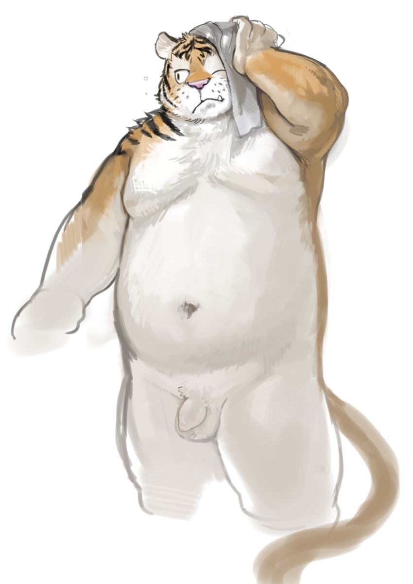 2014 anthro balls belly felid fur furry genitals hi_res kemono kita_9999 male male_only mammal moobs navel overweight overweight_anthro overweight_male pantherine penis simple_background solo tiger towel white_background white_body white_fur