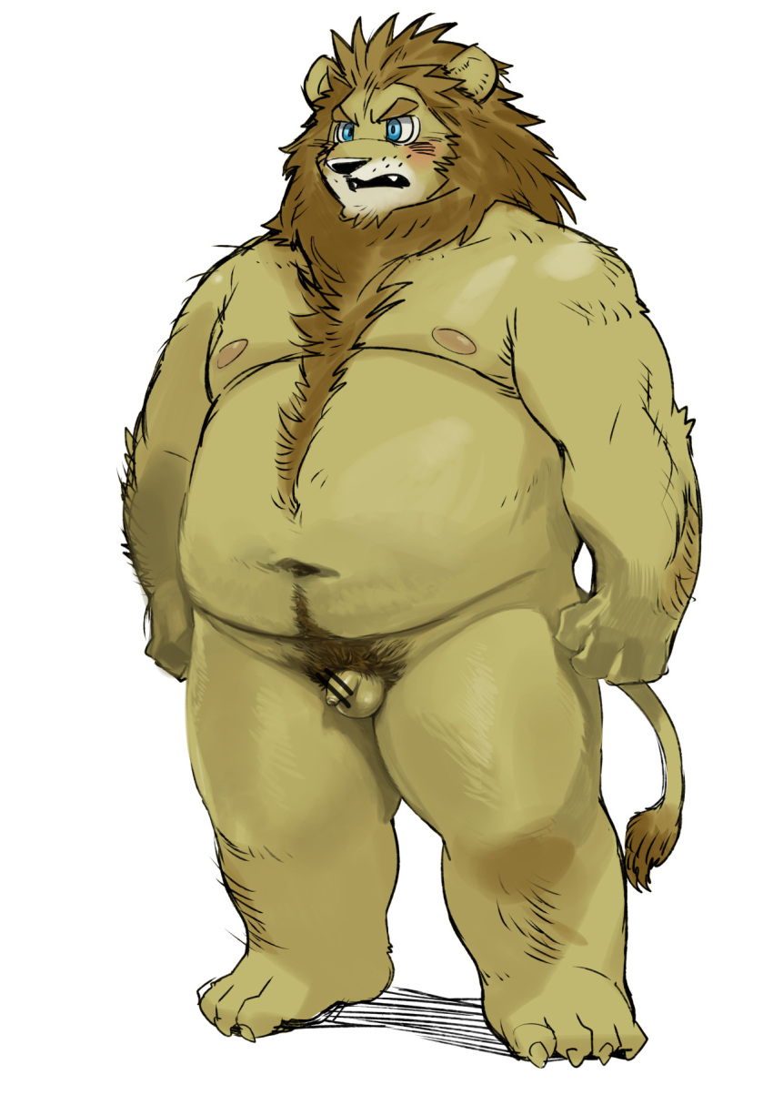 2016 anthro balls belly blue_eyes blush felid furry genitals hi_res humanoid_hands kemono kita_9999 lion male male_only mammal moobs nipples overweight overweight_anthro overweight_male pantherine penis simple_background small_penis solo white_background