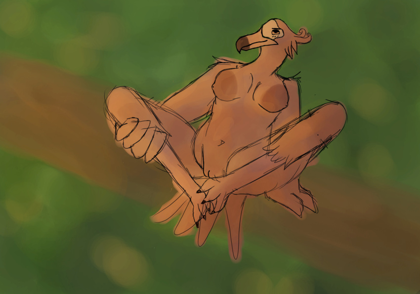 Anosia Rule 34 Image