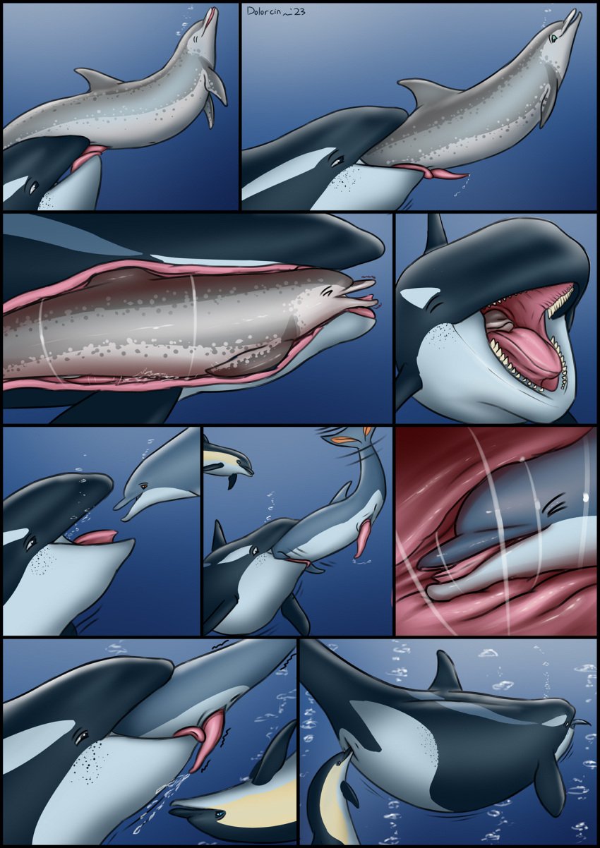 2023 animal_genitalia animal_penis anus artist_name bodily_fluids body_in_mouth bubble cetacean cetacean_genitalia cetacean_penis cetacean_pussy closed_eyes comic cum cumshot cunnilingus dolorcin dolphin ejaculation erection fellatio female female_penetrated female_pred feral feral_on_feral feral_penetrated feral_penetrating feral_penetrating_feral feral_pred feral_prey fully_inside genital_fluids genitals group hi_res internal larger_female larger_pred licking male male/female male_penetrating male_penetrating_female male_prey mammal marine mouth_shot multiple_prey oceanic_dolphin open_mouth oral oral_penetration oral_vore orca penetration penile penile_penetration penis penis_in_mouth penis_lick pussy sex size_difference smaller_male smaller_prey soft_vore tapering_penis tongue tongue_out toothed_whale underwater underwater_sex vaginal_penetration vore water year