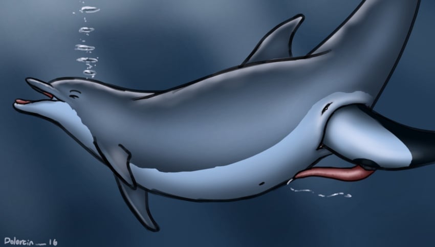 2016 anatomically_correct anatomically_correct_genitalia anatomically_correct_penis animal_genitalia animal_penis bodily_fluids bubble cetacean cetacean_genitalia cetacean_penis commerson's_dolphin cum cum_in_water dolorcin dolphin duo erection female female_pred feral feral_on_feral feral_pred feral_prey genital_fluids genitals head_first larger_female larger_pred male male/female male_prey mammal marine oceanic_dolphin open_mouth partially_inside penis pussy signature size_difference smaller_male smaller_prey soft_vore tapering_penis toothed_whale unbirthing underwater vaginal_penetration vore water willing_prey year