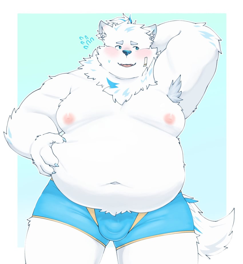 2023 anthro belly big_belly blush bulge canid canine canis clothing domestic_dog dragon_night800 fur hi_res humanoid_hands kemono lifewonders live_a_hero male mammal moobs nipples overweight overweight_male simple_background solo solo_male underwear white_body white_fur yohack