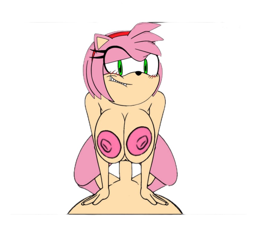 amy_rose anthro artist_request breasts_in_front_of_face cowgirl_position female first_person_view from_front_position girl_on_top large_breasts looking_at_viewer male male/female on_bottom on_top red_cheeks sega sex smile smiling_at_viewer solo sonic_(series) sonic_the_hedgehog_(series)