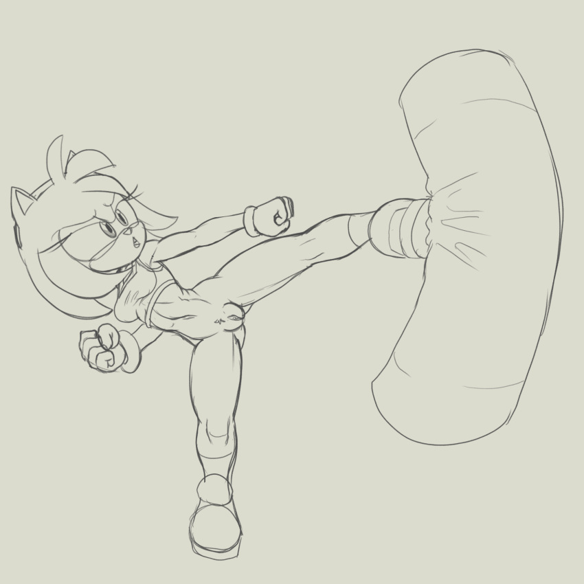 amy_rose anthro bottomless clothed clothing eulipotyphlan female footwear fours_(artist) hedgehog hi_res kick mammal sandbag shoes solo sonic_(series) sonic_the_hedgehog_(series) sportswear training