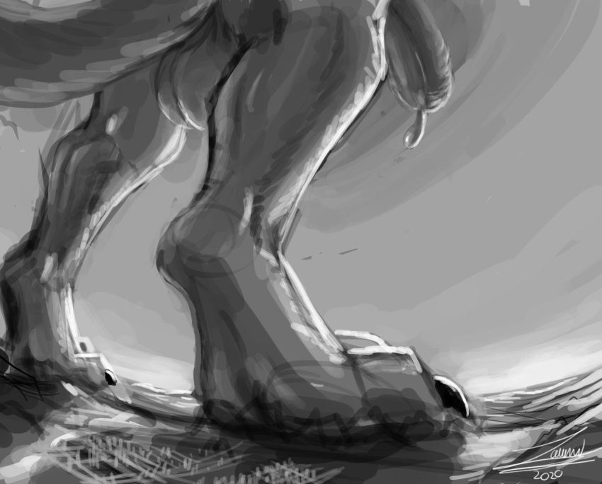 2020 black_claws city claws digital_media_(artwork) foot_focus greyscale hindpaw macro male male_only mammal monochrome outside paws penis precum_drip signature sketch solo zawn