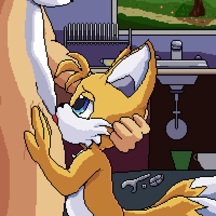 animated anthro blue_eyes duo fellatio female fur head_grab hi_res lawealewd male male/female mature_anthro mature_female oral penile pixel_art sega sex sonic_(series) sonic_the_hedgehog_(series) sucking tail tails tongue vanilla_the_rabbit