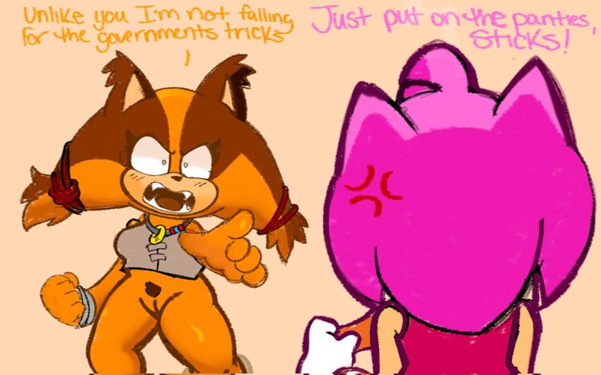 amy_rose amy_rose_(boom) bodily_fluids brown_body brown_fur clothed clothing duo female fur genitals gesture hand_gesture hi_res multicolored_body multicolored_fur no_underwear oiamoeyh orange_body orange_fur pink_body pink_fur pointing pointing_at_another pussy sega sonic_(series) sonic_boom sonic_the_hedgehog_(series) sticks_the_badger sticks_the_jungle_badger upskirt yelling