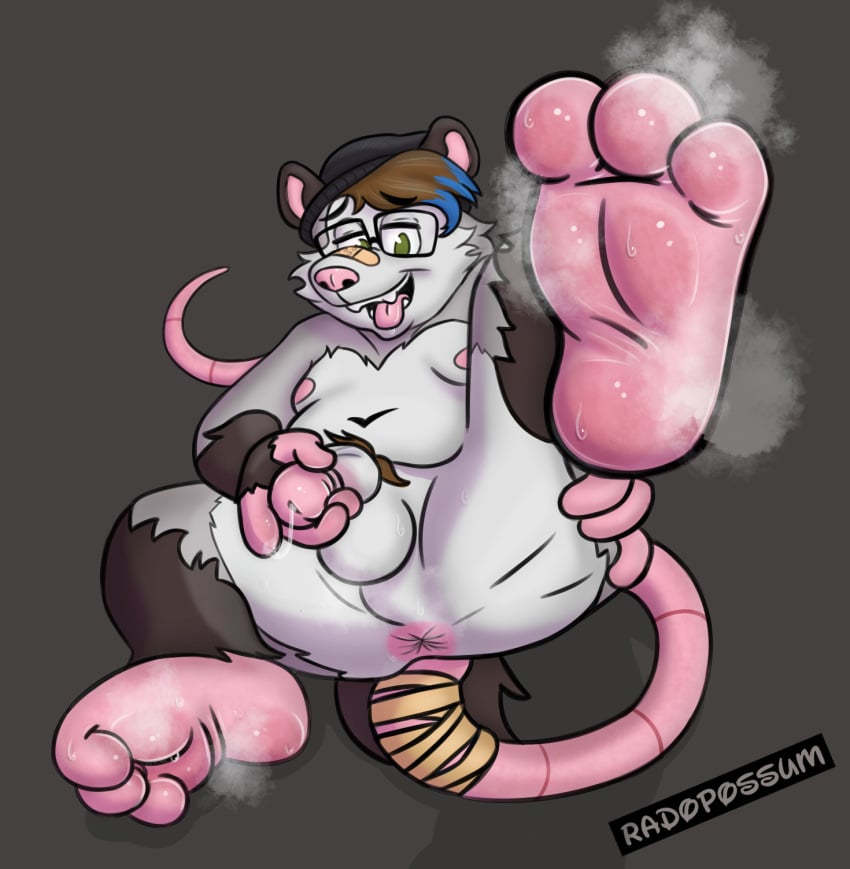 american_opossum anthro anus blue_hair bodily_fluids eyewear feet foot_fetish foot_focus fur genital_fluids genitals glasses grey_body grey_fur hair hi_res hindpaw leaking_precum looking_at_viewer male mammal marsupial multicolored_body multicolored_fur musk musk_clouds musky_feet nude paws penis pink_nose pink_tail precum presenting presenting_anus radopossum solo sweat sweatdrop sweaty_feet tail tongue tongue_out virginia_opossum