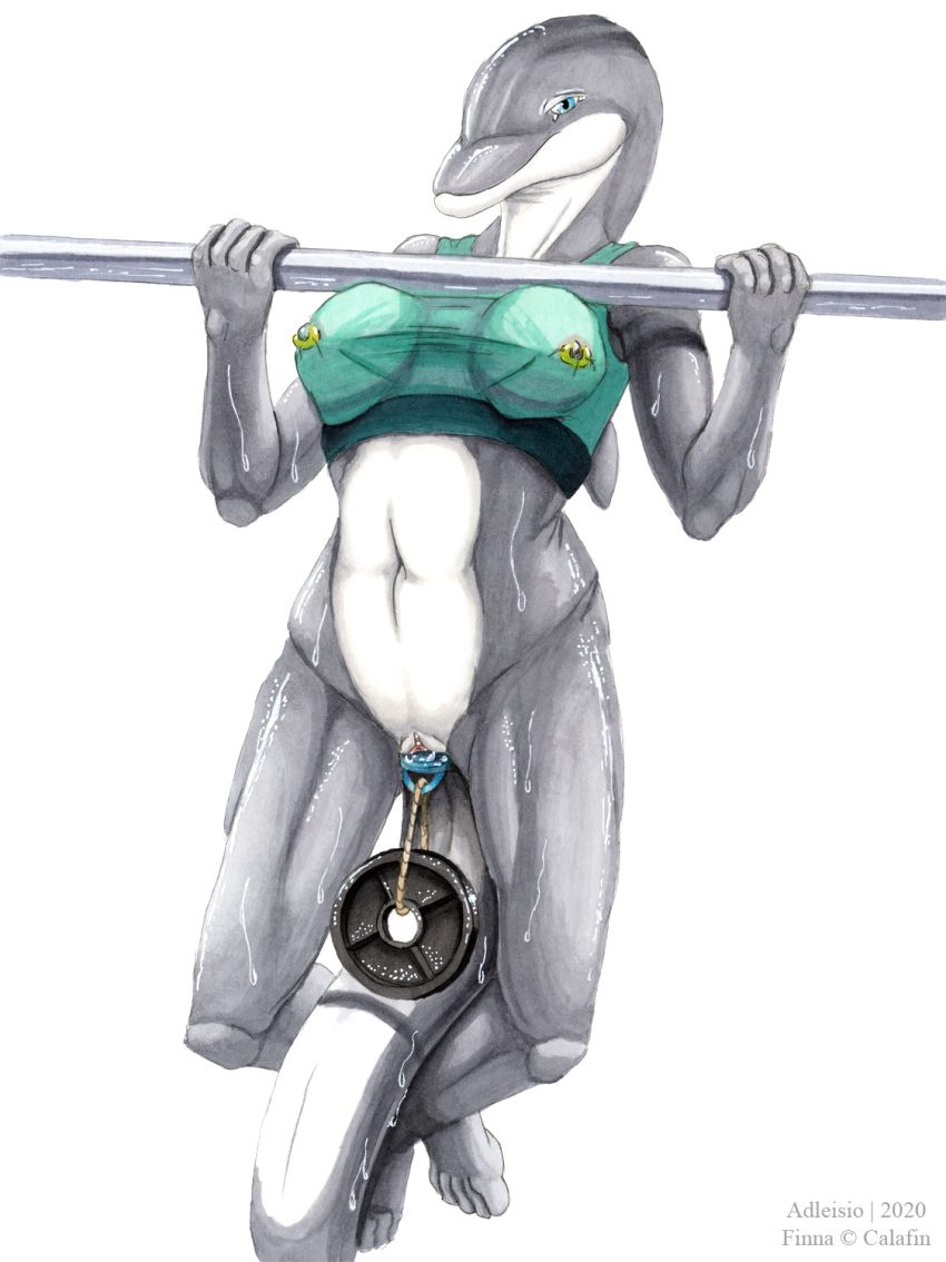 2020 adleisio anthro athletic athletic_anthro athletic_female blue_eyes bodily_fluids bottlenose_dolphin bottomless bottomless_female bra cetacean clothed clothing countershade_face countershade_torso countershading delphinoid english_text exercise exercise_clothing exercise_equipment female glistening grey_body hi_res kegel_weight looking_at_viewer marine navel nipple_piercing nipple_ring nipples oceanic_dolphin penetration piercing pull_up_bar pull_ups sex_toy_in_pussy signature simple_background solo sports_bra sweat text toothed_whale translucent translucent_clothing underwear vaginal_penetration weightlifting weights white_background white_body workout