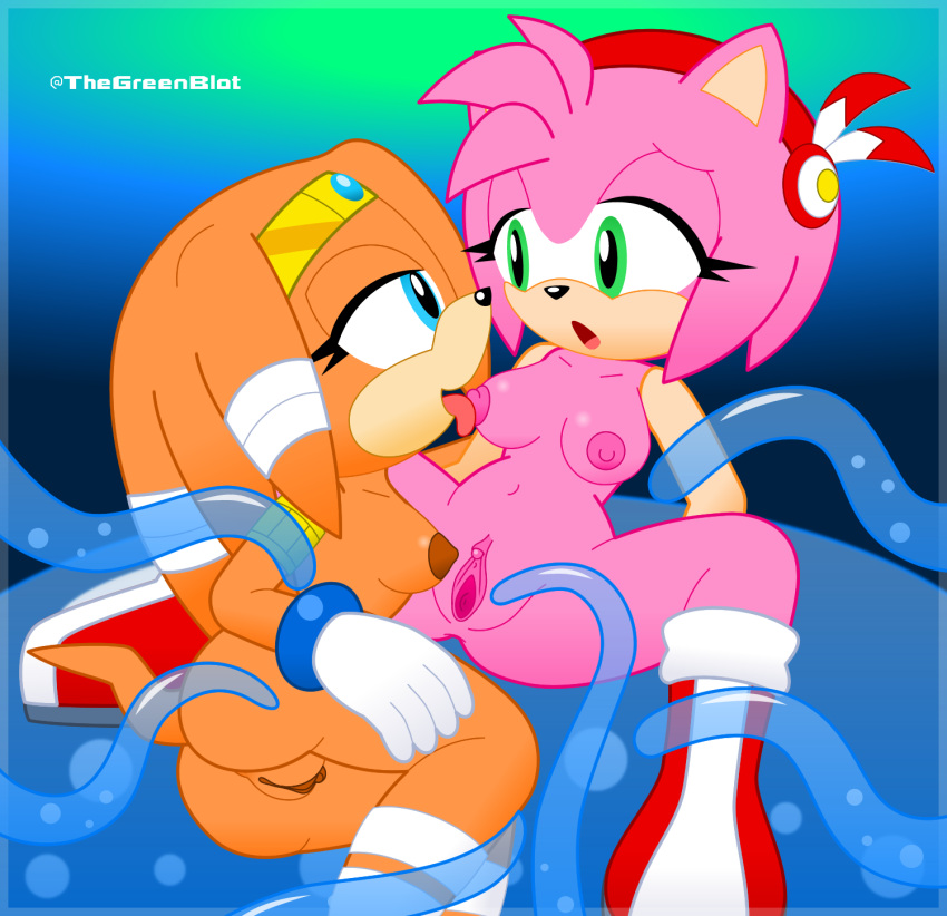 2girls amy_rose blue_eyes boots clitoris duo echidna gloves green_eyes hair hedgehog inkbunny licking looking_at_another multiple_girls neoeclipse open_mouth orange_body orange_hair pink_body pink_hair pussy sonic_(series) tentacle tentacle_sex tiara tikal_the_echidna tongue tongue_out yuri