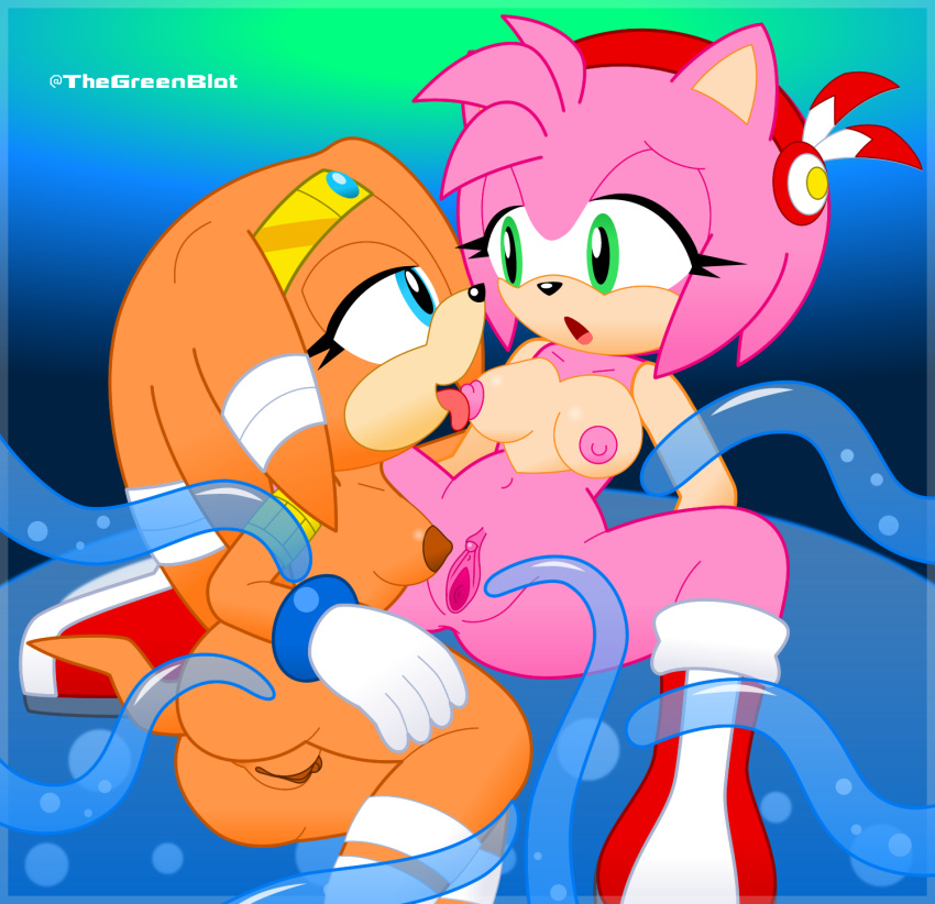 2girls amy_rose blue_eyes boots clitoris duo echidna gloves green_eyes hair hedgehog inkbunny licking looking_at_another multiple_girls neoeclipse open_mouth orange_body orange_hair pink_body pink_hair pussy sonic_(series) tentacle tentacle_sex tiara tikal_the_echidna tongue tongue_out yuri