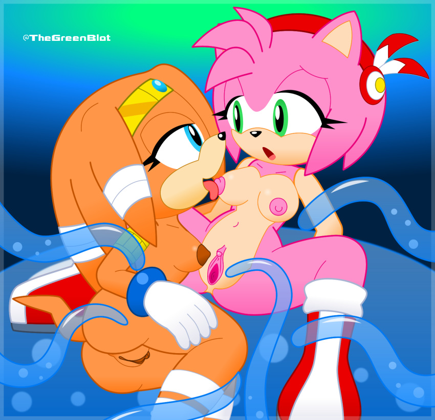 2girls amy_rose blue_eyes boots clitoris duo echidna gloves green_eyes hair hedgehog inkbunny licking looking_at_another multiple_girls neoeclipse open_mouth orange_body orange_hair pink_body pink_hair pussy sonic_(series) tentacle tentacle_sex tiara tikal_the_echidna tongue tongue_out yuri