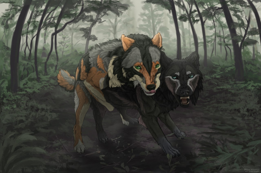 all_fours ambiguous_penetration black_body black_fur blue_eyes canid canine canis detailed_background doggy_style duo facing_viewer female female_penetrated feral feral_on_feral forest foxapm from_behind_position fur green_eyes grey_body grey_fur hiona male male_penetrating male_penetrating_female mammal open_mouth penetration plant rhaulen sex straight teeth tongue tongue_out tree wolf yellow_body yellow_fur