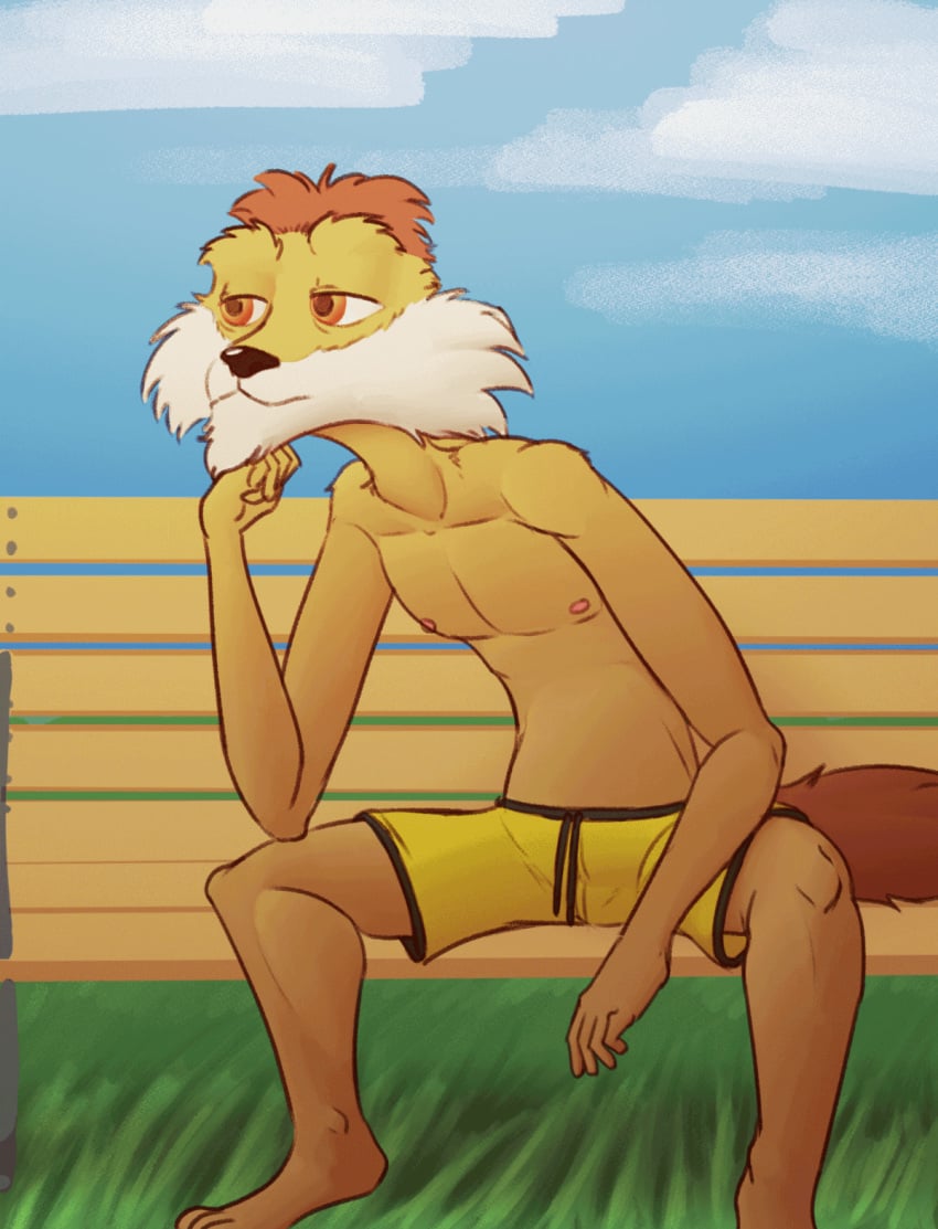 1boy animated anthro bench bottomwear clothed clothing daxhush furry genitals grin hi_res looking_at_viewer looking_away loop male male_only malik_(spycies) mammal mustela mustelid musteline nipples outside penis public short_playtime shorts slim smile solo spycies topless