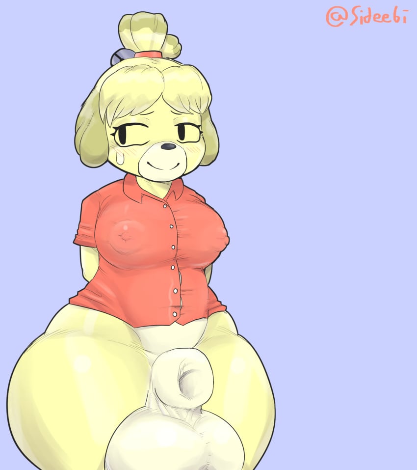 1futa 2021 animal_crossing anthro breasts canine chubby fully_sheathed fur furry futa_only futanari hyper_balls isabelle_(animal_crossing) nintendo nipples partially_clothed sheath sideebi solo_futa the tight_clothing yellow_fur