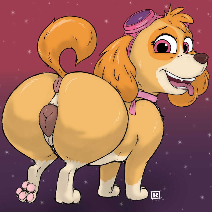 Skye (Paw Patrol) Rule 34 Image
