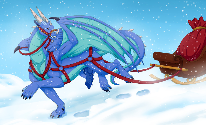 anthro bag bell blue_body blue_penis bridle claws countershade_torso countershading dimitri_(anthrodragon) dragon dragon_tail erection genitals harness hi_res horn jingle_bell knot male male_only malesub membrane_(anatomy) membranous_wings outside penile_spines penis pose silvergrin sleigh snow snowing solo spines tail_spines teal_scales teal_wings wings winter zetsin