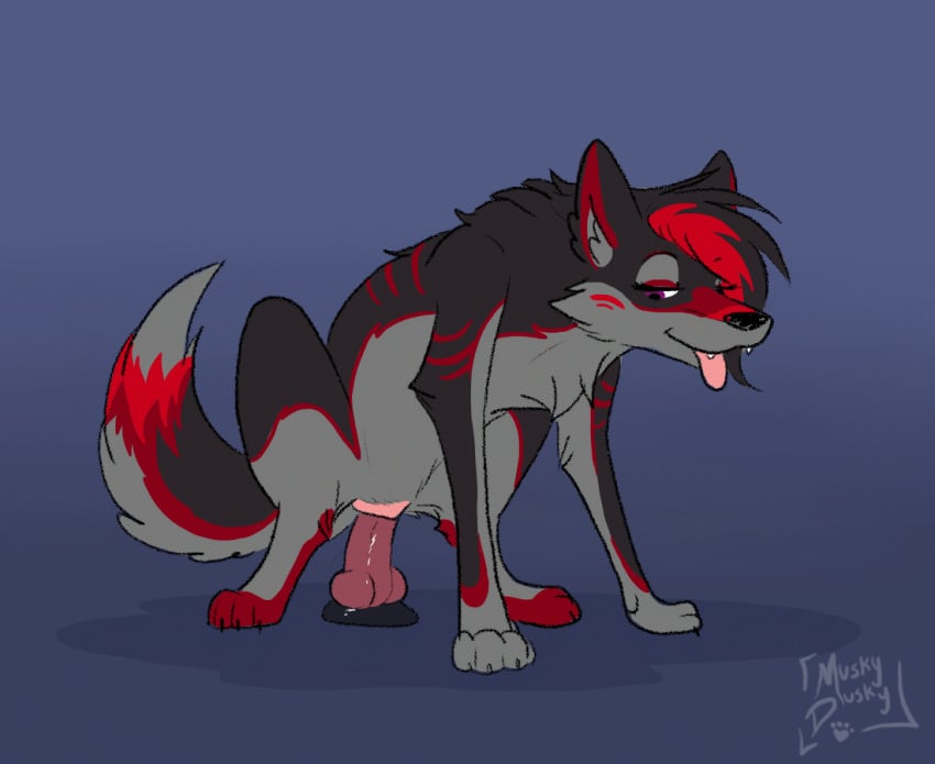 anatomically_correct anatomically_correct_genitalia anatomically_correct_pussy animal_genitalia animal_pussy animated black_and_red canid canine canine_pussy canis dildo dildo_sitting female feral frame_by_frame genitals knotted_dildo looking_pleasured mammal masturbation muskydusky penetration pussy sex_toy short_playtime simple_background solo tongue tongue_out toying_self vaginal_masturbation vaginal_penetration vaginal_penetration wolf