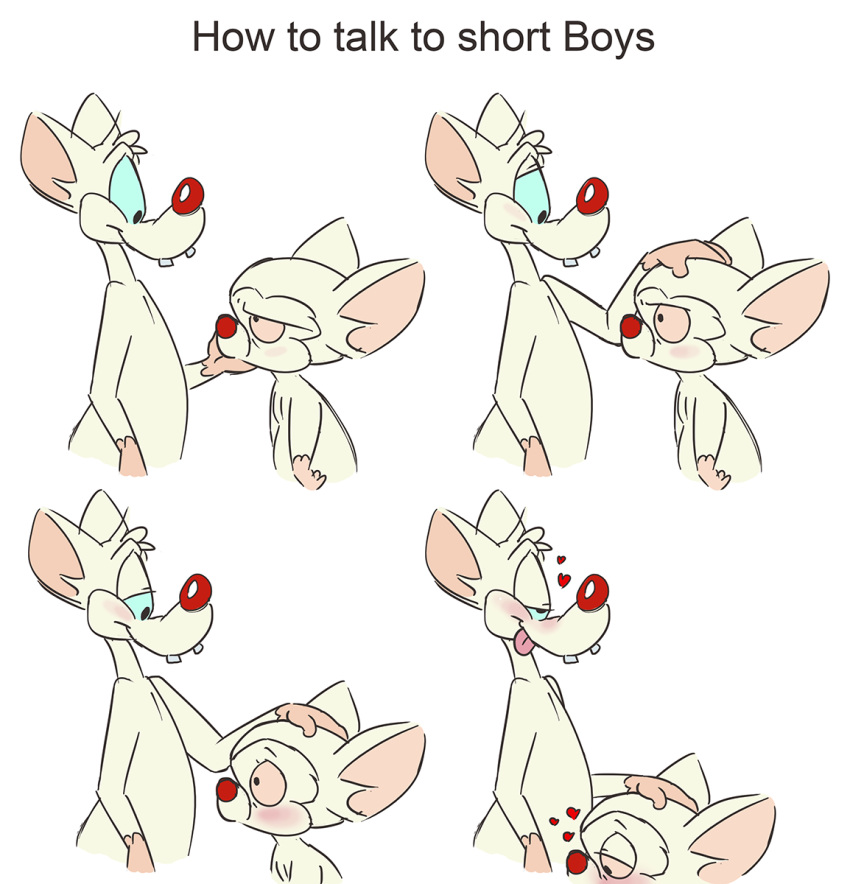 animaniacs_(2020) anthro blush brainsister duo hand_on_head heart hi_res hulu implied_fellatio implied_oral male male/male mammal mouse murid murine pinky_(warner_brothers) pinky_and_the_brain rodent the_brain tongue tongue_out warner_brothers