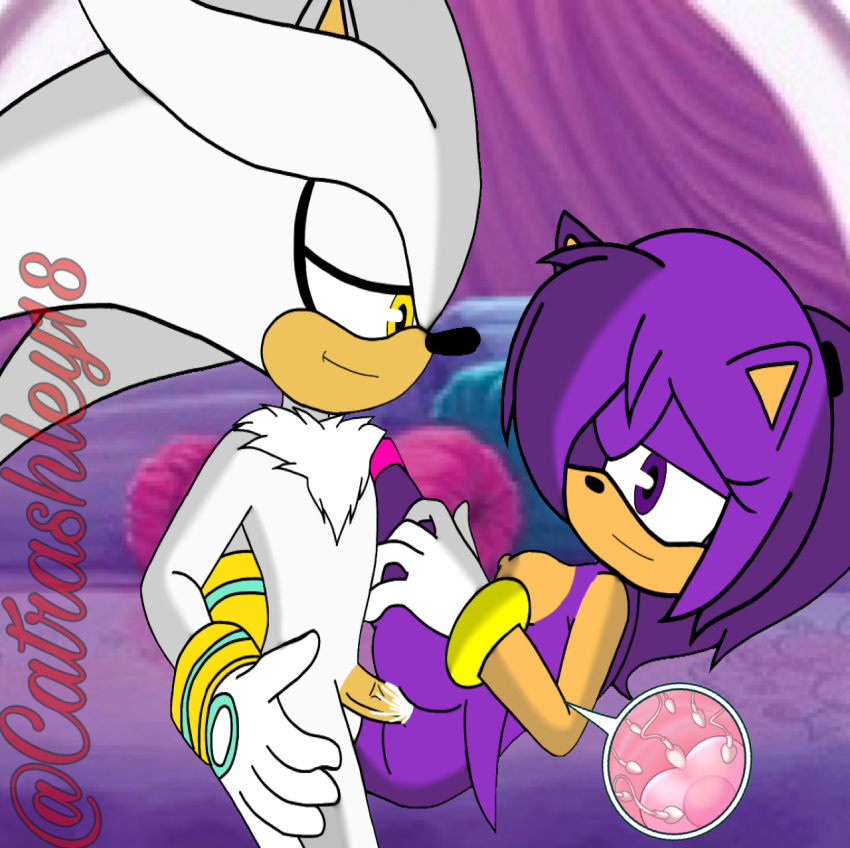 anthro ashley_the_hedgehog catrashley18 cum impregnation ovum pregnant silver_the_hedgehog sonic_(series) sonic_the_hedgehog