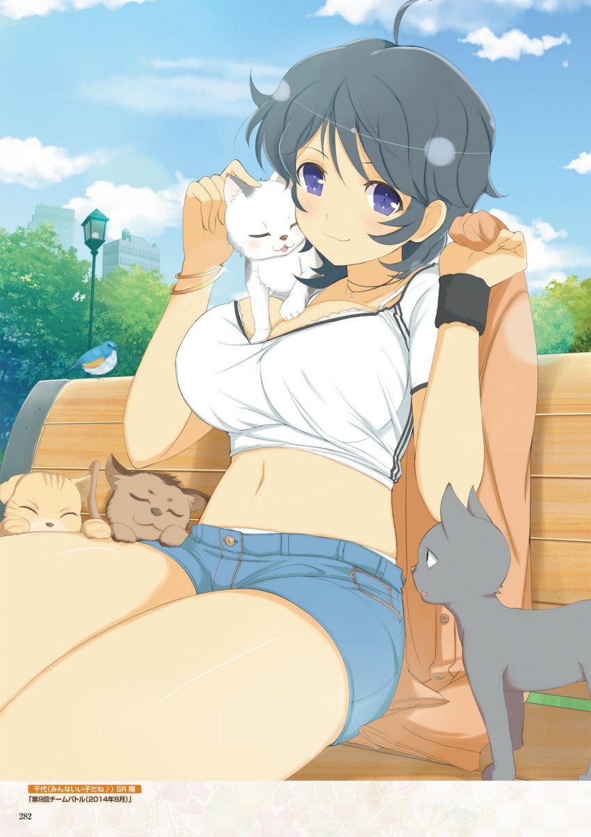 1girls bench between_breasts bird black_hair blue_eyes blush bra breasts cardigan cardigan_removed chiyo_(senran_kagura) cleavage crop_top denim_shorts feline groping happy huge_breasts jewelry kneading large_breasts navel necklace official_art panty_peek park petting revealing_clothes seductive seductive_smile senran_kagura shirt_lift short_hair shorts sidelocks sitting smile thick_thighs thighs underwear undressing wristband