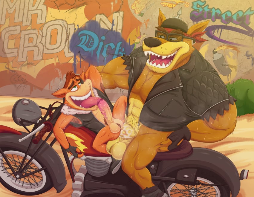 2boys abs activision anal anthro armpit_hair balls bandicoot bodily_fluids body_hair bottomless clothed clothing crash_(series) crash_bandicoot crash_bandicoot:_warped dasyuromorph duo gay genitals hi_res jacket leather leather_clothing leather_jacket leather_topwear male male/male male_only mammal marsupial mkcrown motorcycle muscular muscular_male penis pubes size_difference sweat thylacine tiny_tiger tongue tongue_out topwear vehicle vein veiny_penis video_games yaoi