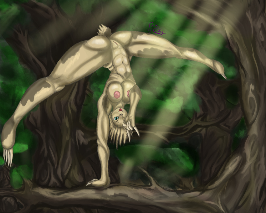 absurd_res acrobatics anthro cute_face female genitals grimzypher handstand hi_res huge_filesize mammal nipples pilosan pink_nipples plant pussy sloth solo spread_legs spreading sunrays tongue tongue_out tree upside-down xenarthran