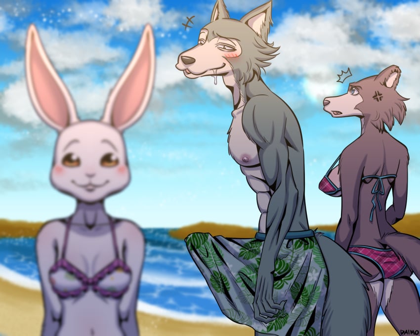 2021 5:4 abs annoyed anthro ass athletic athletic_anthro athletic_male beach beastars big_bulge bikini black_nose blurred_foreground blush bodily_fluids breasts bulge canid canine canis clothed clothing countershade_face countershade_legs countershade_torso countershading cross-popping_vein daimo distracted_boyfriend domestic_rabbit drooling dwarf_rabbit erection erection_under_clothing female fur grey_body grey_countershading grey_fur group haru_(beastars) hi_res juno_(beastars) lagomorph legoshi_(beastars) leporid looking_at_another looking_back male male/female mammal meme nipples open_mouth oryctolagus pecs rabbit saliva seaside side_boob smile swimming_trunks swimwear vein walking water white_body white_fur wolf