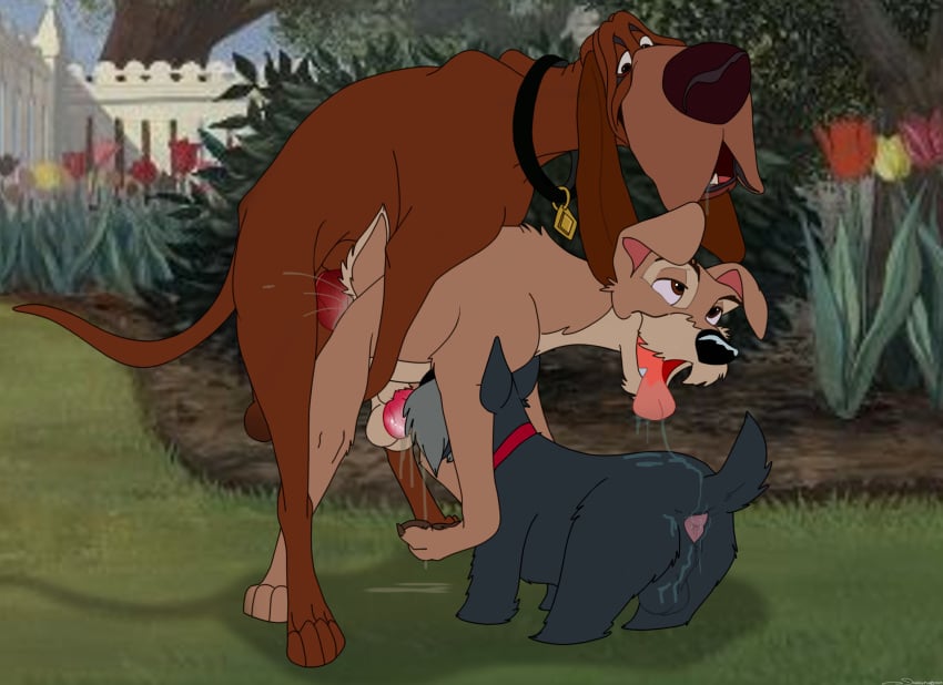 anal anal_sex animal_genitalia animal_penis anus backsack balls bloodhound bodily_fluids brown_body brown_fur canid canine canine_genitalia canine_penis canis collar collar_only digital_media_(artwork) disney domestic_dog drooling erection fellatio feral feral_on_feral feral_penetrated feral_penetrating feral_penetrating_feral from_behind_position fur genital_fluids genitals group hi_res holidaypup hunting_dog jock_(lady_and_the_tramp) knot lady_and_the_tramp looking_pleasured male male/male male_penetrated male_penetrating male_penetrating_male mammal nude open_mouth oral oral_penetration penetration penile penile_penetration penis saliva saliva_string scent_hound schnauzer scottish_terrier sex smile tail terrier thressome tongue tongue_out tramp_(lady_and_the_tramp) trio trusty_(character)