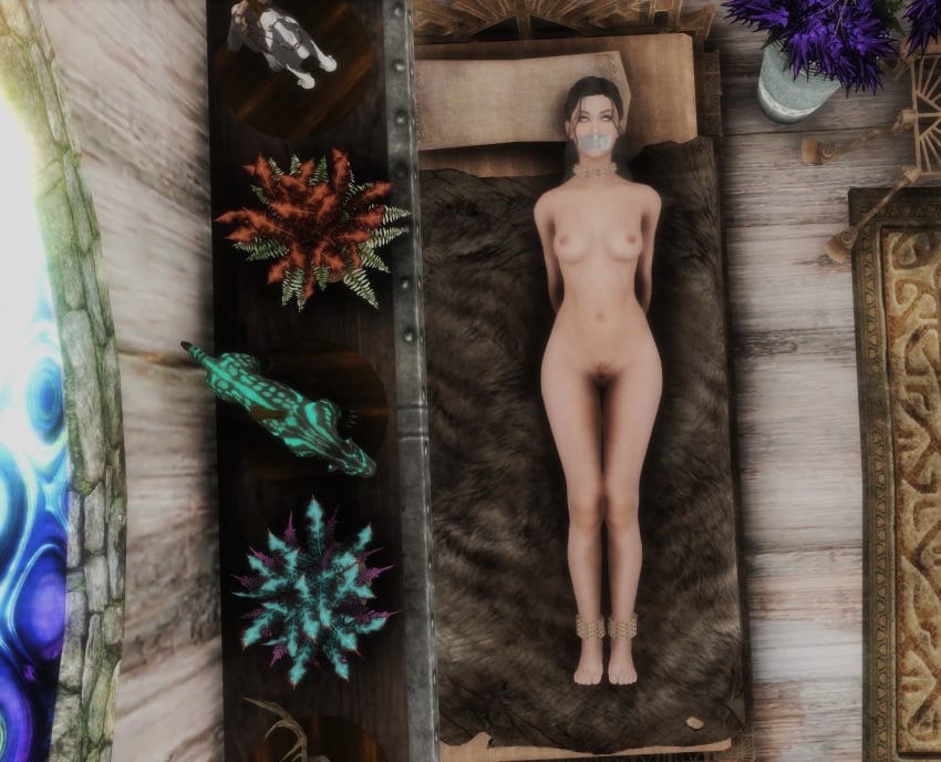 3d arms_behind_back bound_ankles completely_nude completely_nude_female gag gagged mod n00nex nude nude_female nude_mod skyrim the_elder_scrolls