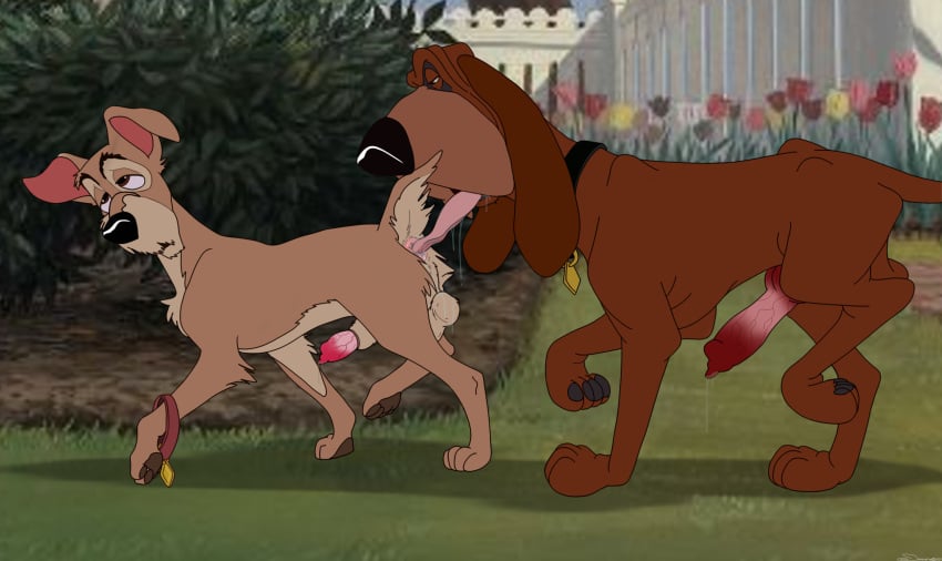 absurd_res anal anatomically_correct anatomically_correct_genitalia anatomically_correct_penis animal_genitalia animal_penis anus balls bloodhound bodily_fluids brown_body brown_fur canid canine canine_genitalia canine_penis canis collar collar_only digital_media_(artwork) disney domestic_dog duo erection feet feral feral_on_feral fur genital_fluids genitals half-erect hi_res holidaypup hunting_dog knot lady_and_the_tramp leaking_precum male male/male mammal nude oral pawpads paws penis penis_tip precum precum_string rimming rimming_male saliva saliva_on_anus scent_hound schnauzer sex tail toes tongue tongue_out tramp_(lady_and_the_tramp) trusty_(character)