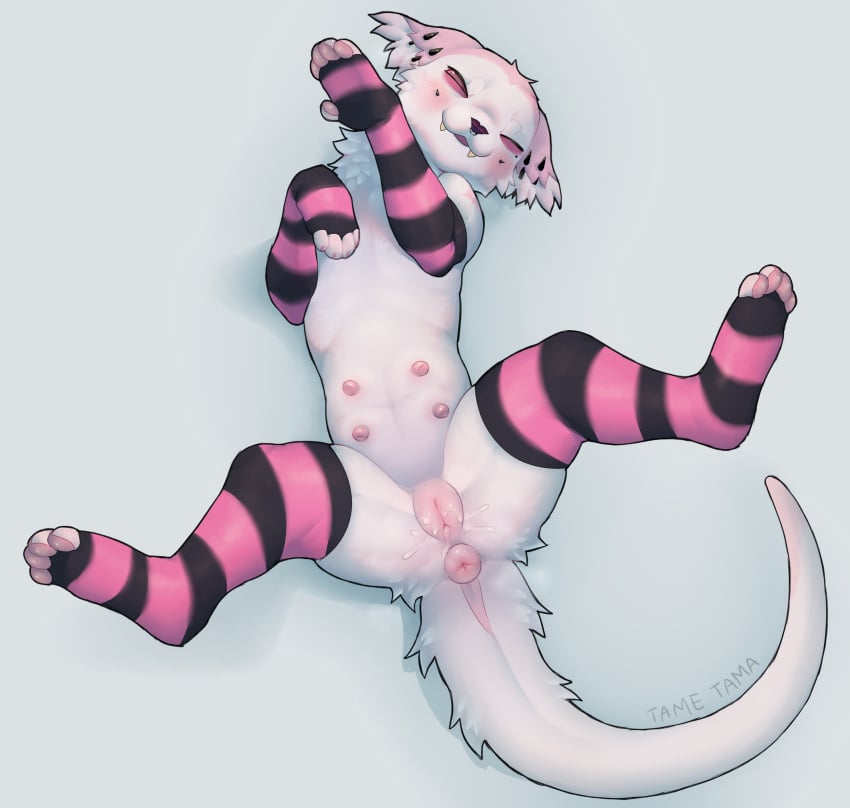 Tama (Tametama) Rule 34 Image