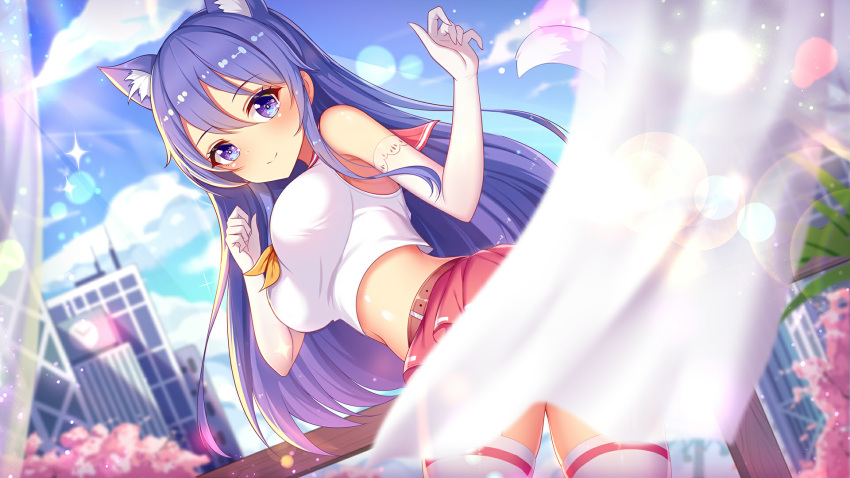 1girls blue_eyes blue_hair blue_sky cat_ears cherry_blossoms city cityscape cloud curtains day girlgame gloves long_hair looking_at_viewer outdoors plant pretty_neko railing school_uniform sky sparkles stockings sunlight tree white_curtains white_gloves wood_railing