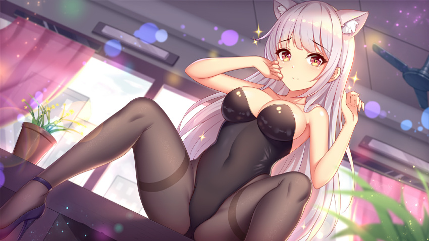 1girls black_dress cat_ears ceiling ceiling_fan curtains day dress girlgame indoors long_hair looking_at_viewer pantyhose pink_curtains plat potted_plant pretty_neko sitting sitting_on_desk sitting_on_table spread_legs sunlight white_hair window yellow_eyes