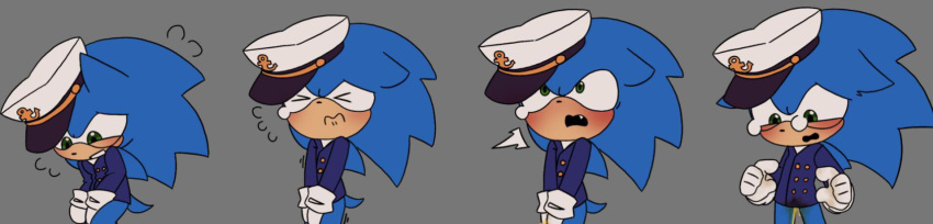 Sonic The Hedgehog (Sonic (Series)) Rule 34 Image